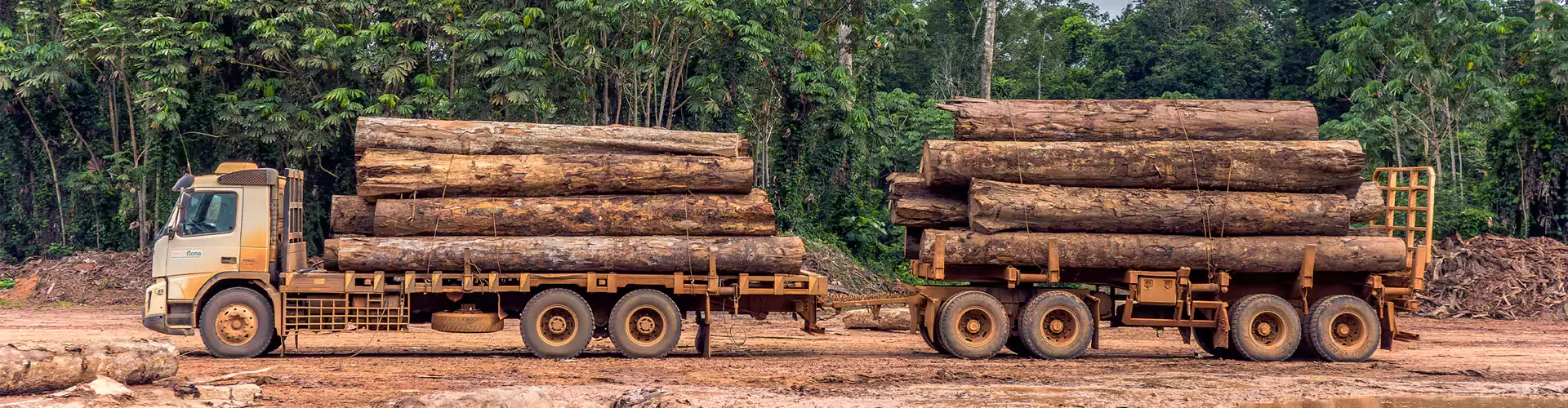 One-stop chain sourcing
